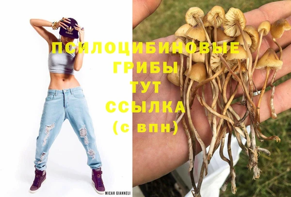 кристаллы Абаза