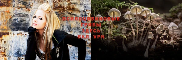 a pvp Абинск