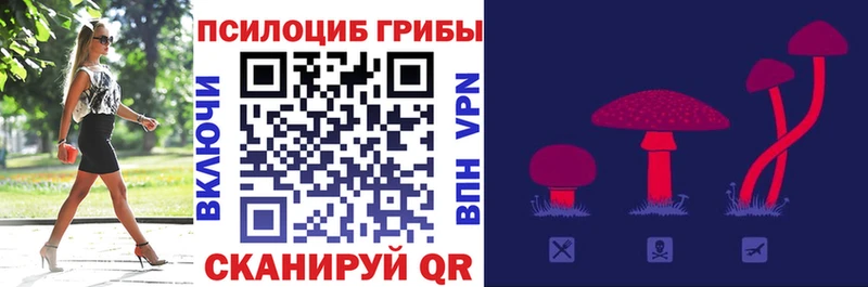 Псилоцибиновые грибы MAGIC MUSHROOMS купить наркоту Златоуст